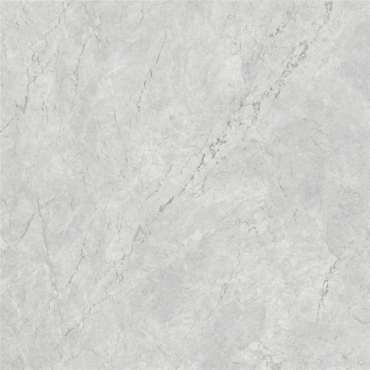 YHTT80094B萊卡淺灰