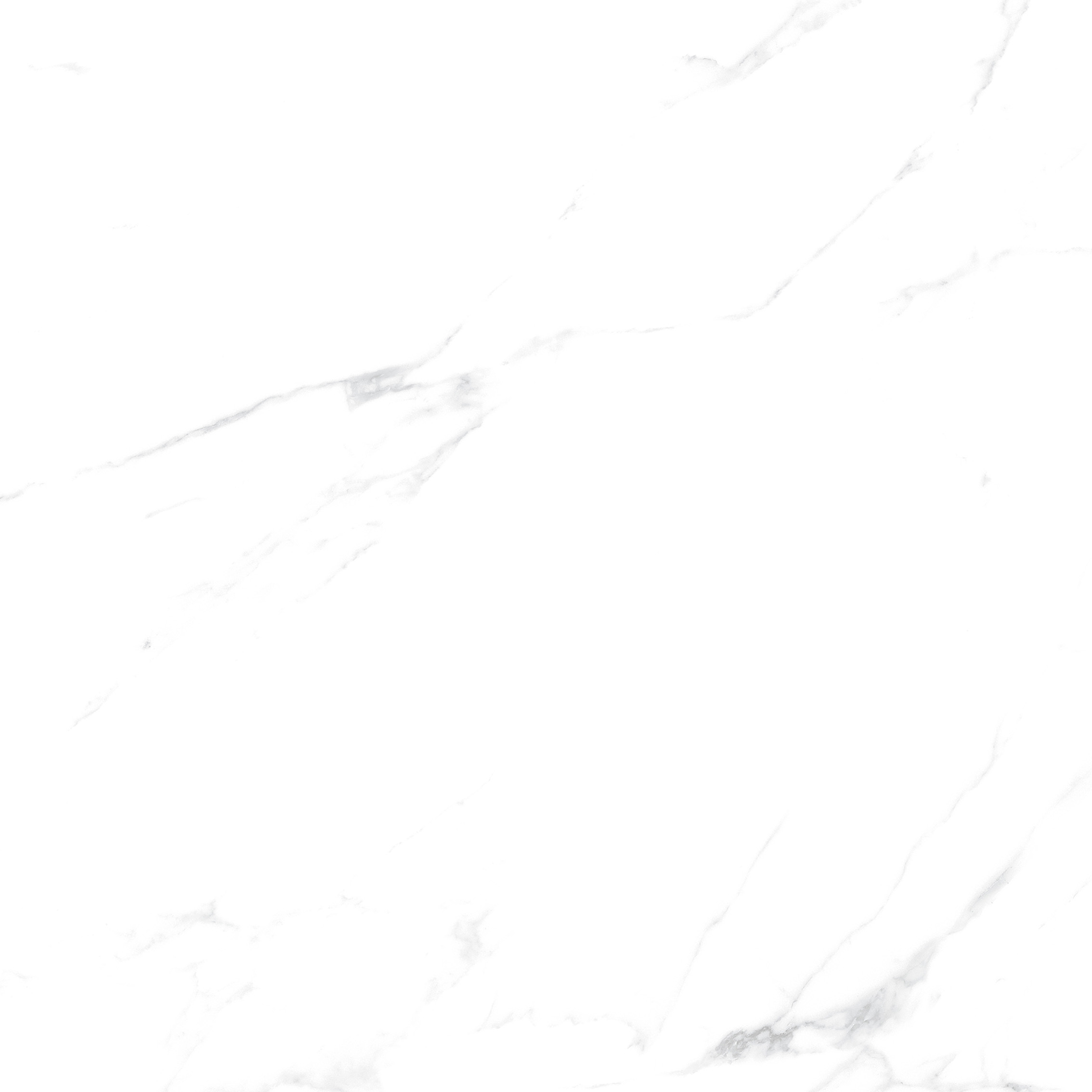 YHTT82999伊麗莎白